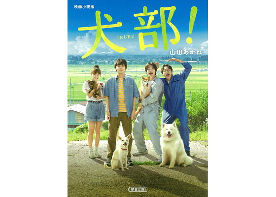 楽天ブックス 映画小説版 犬部 山田あかね 本 楽天ブックス 映画小説版 犬部 山田あかね 本